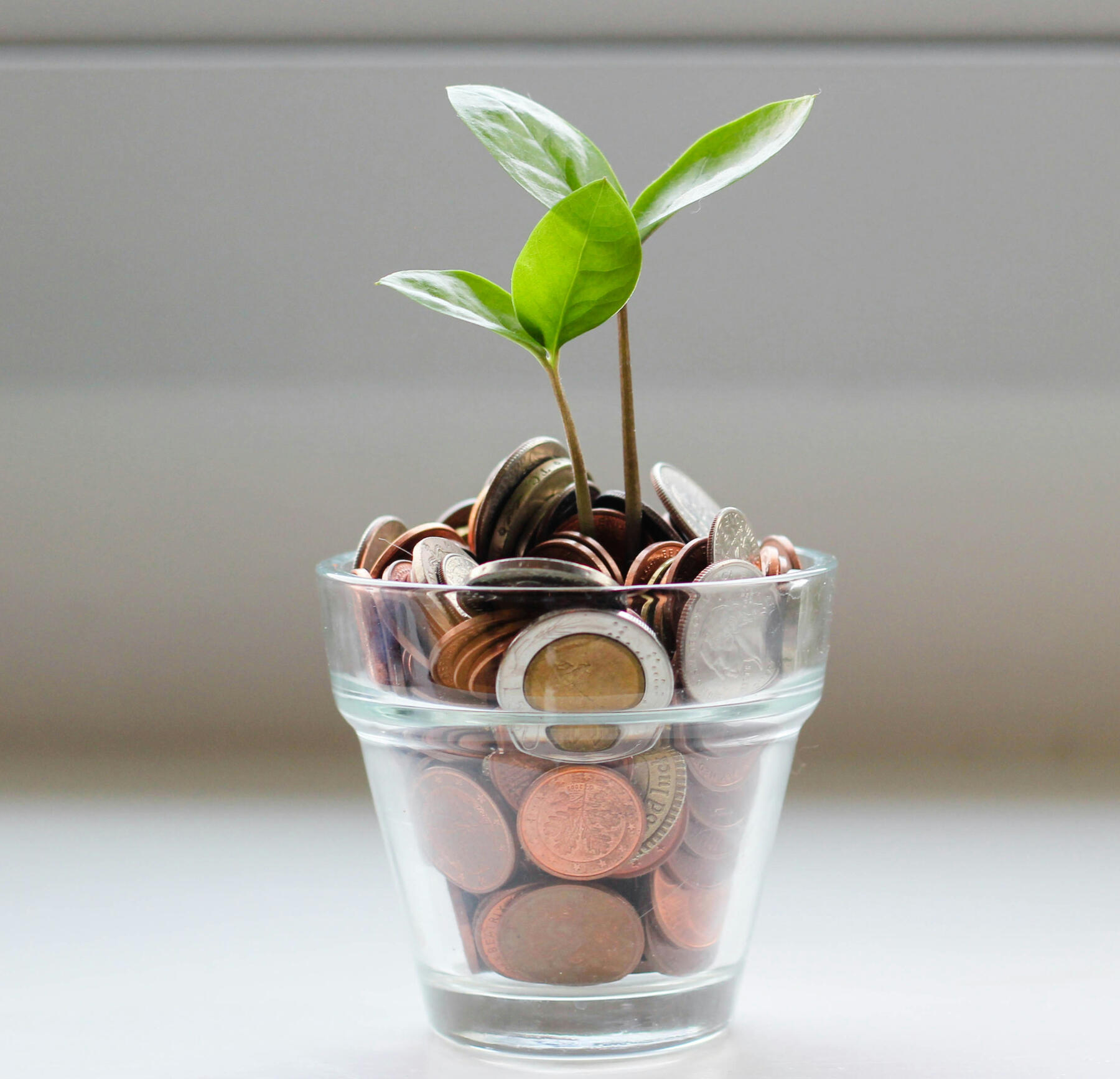 Financial Freedom